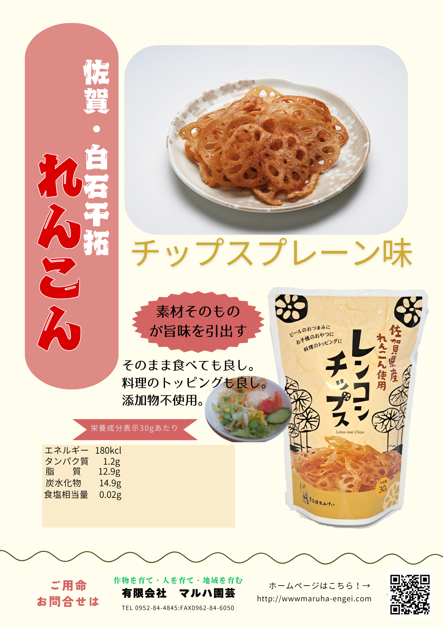 レンコンチップス プレーン味