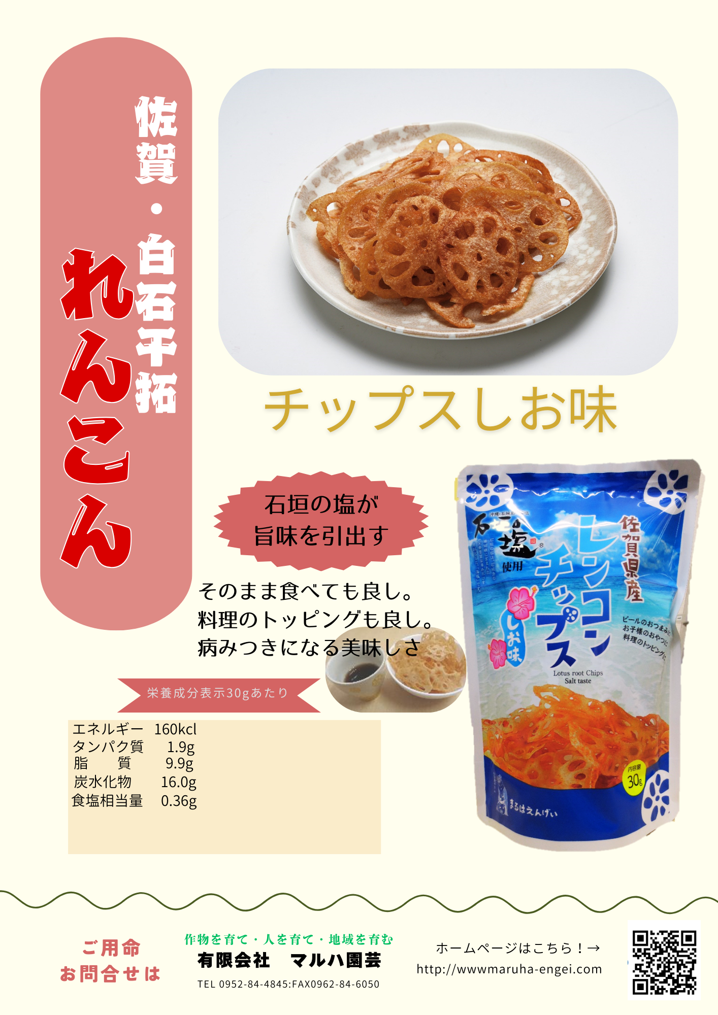 レンコンチップス しお味